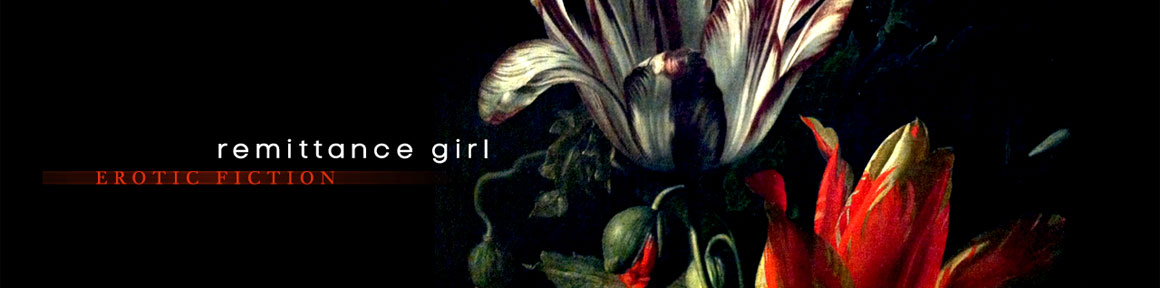 Remittance Girl Erotic Fiction AMP header